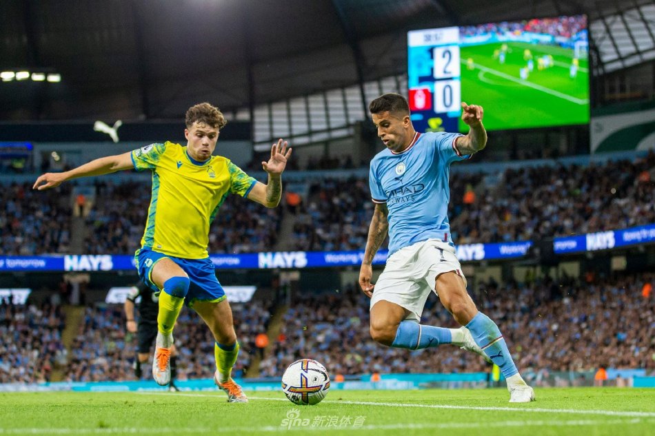 步行者的内 步行者的内